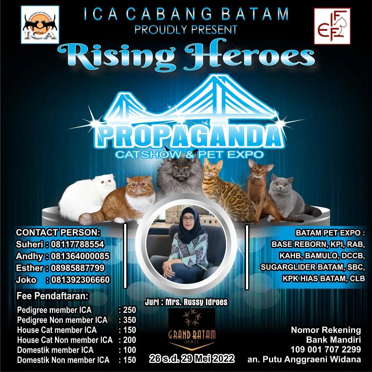 Cat Show Batam