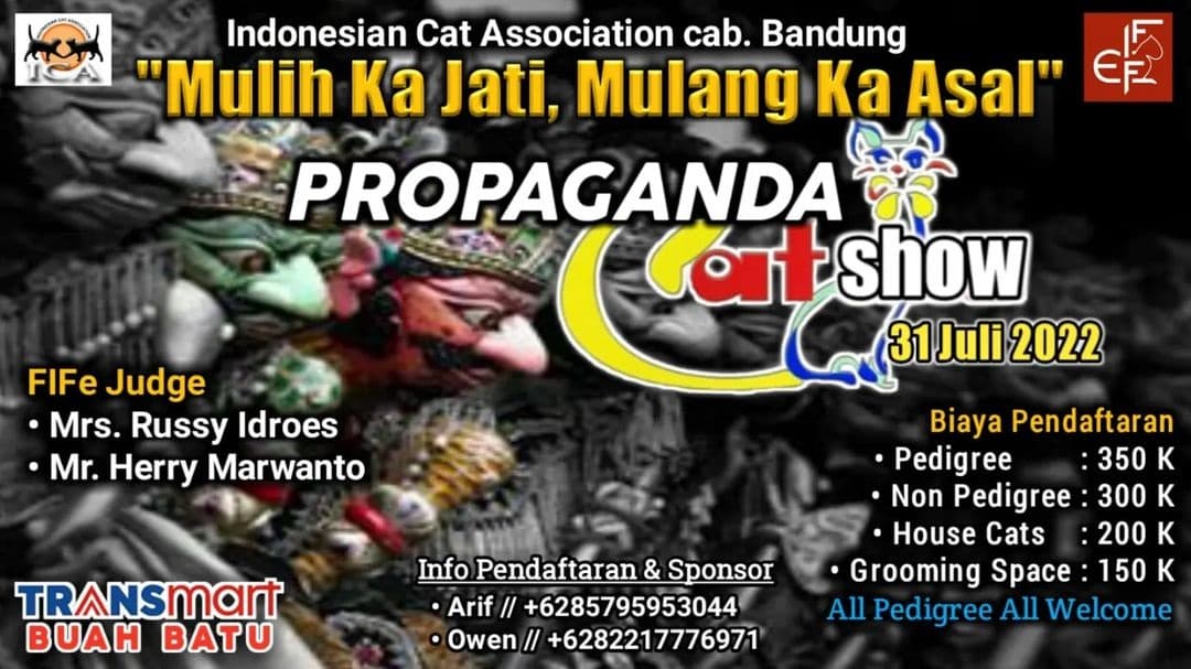 Cat Show Bandung