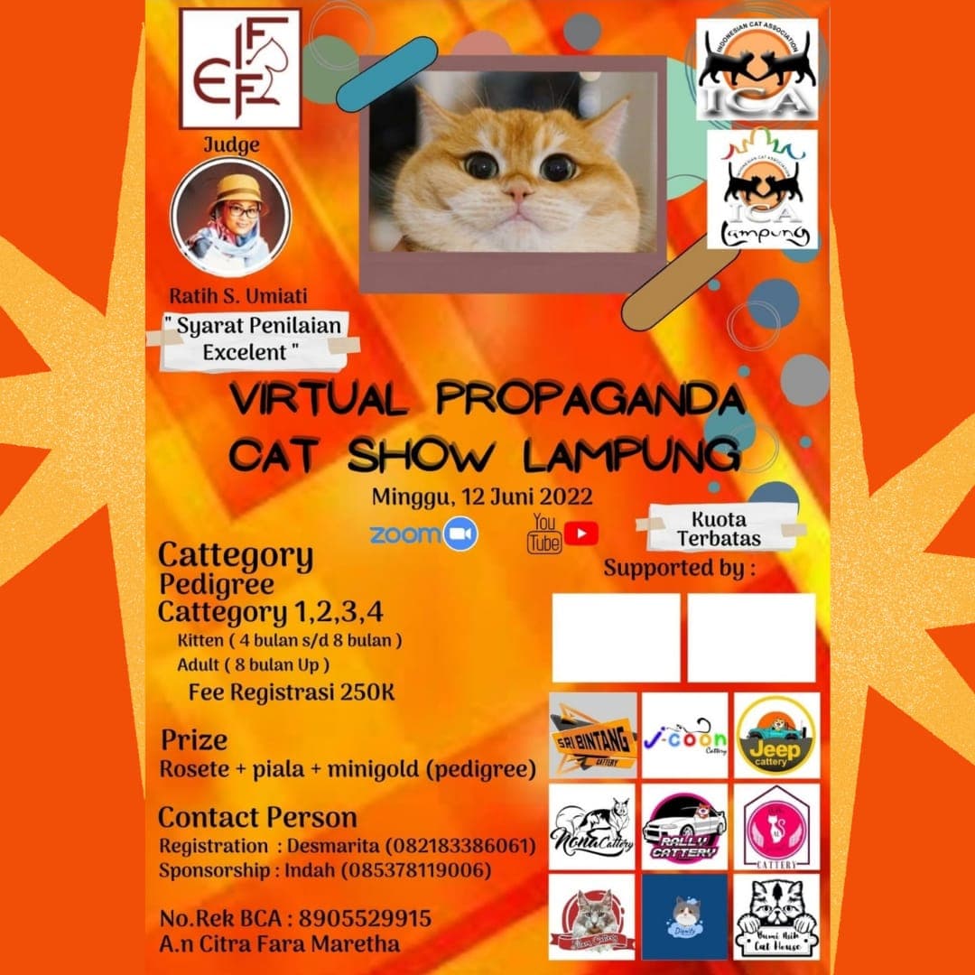 Cat Show Lampung