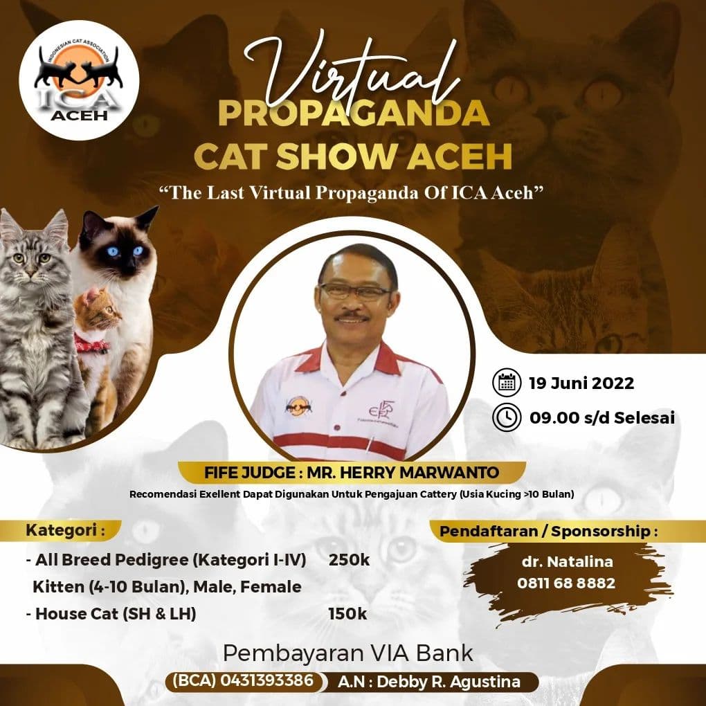 Cat Show Aceh